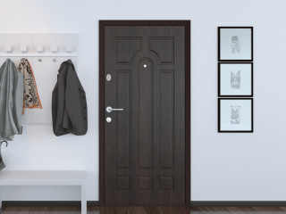 Входные двери DoorHan